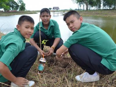 ปลูกต้นไม้เฉลิมพระเกียรติ